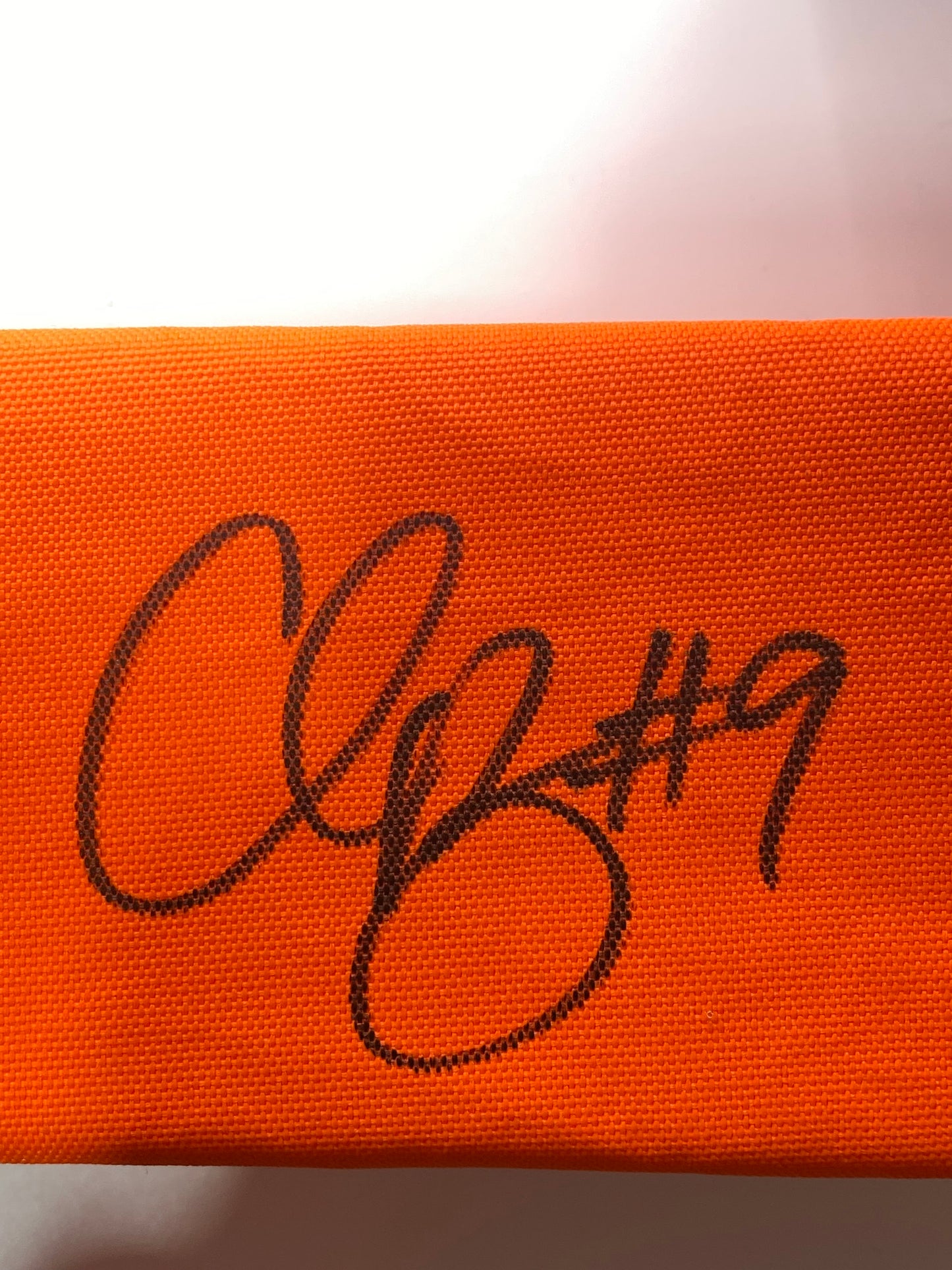 Chris Boswell signed pylon JSA
