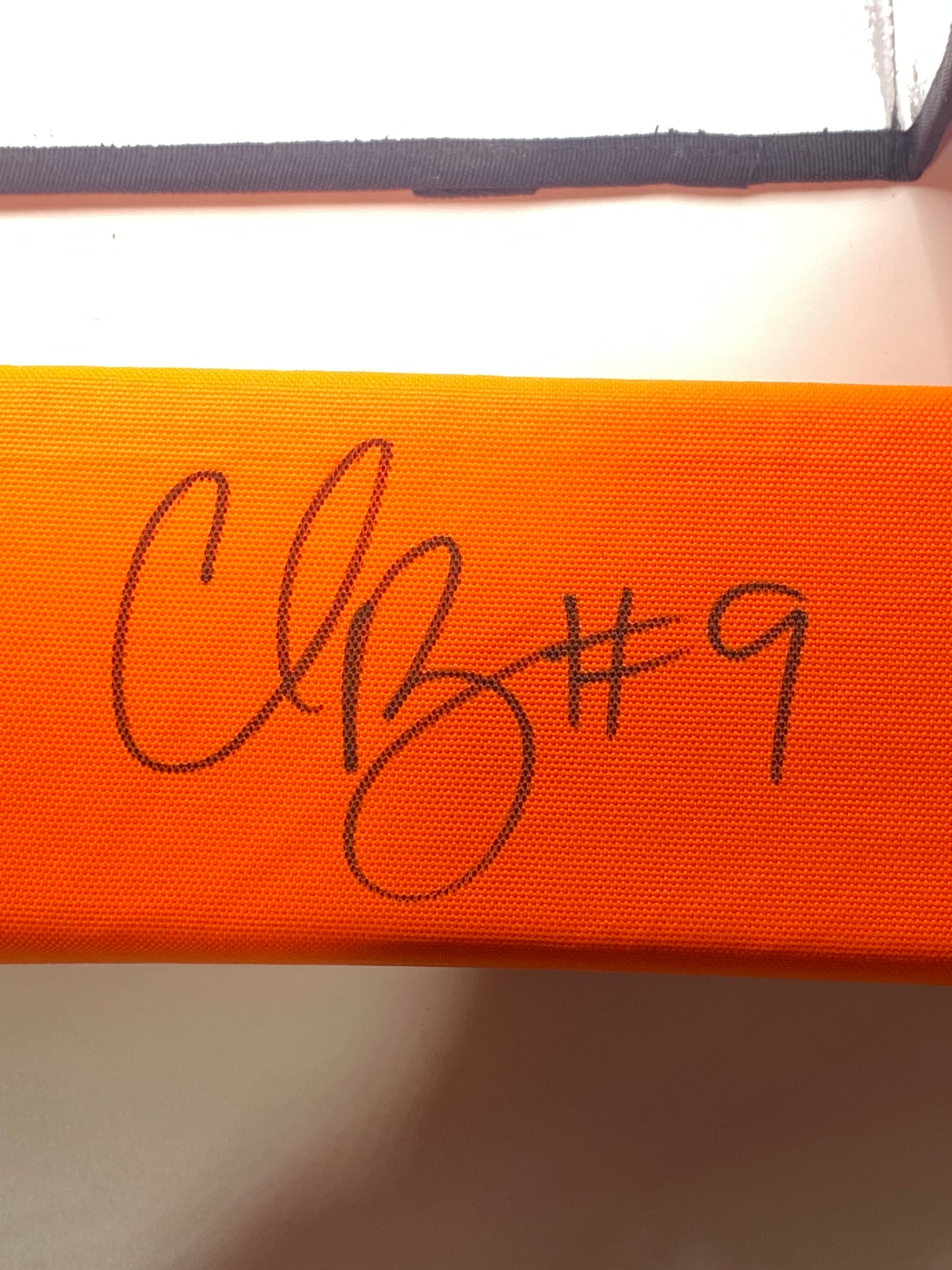 Chris Boswell signed pylon JSA
