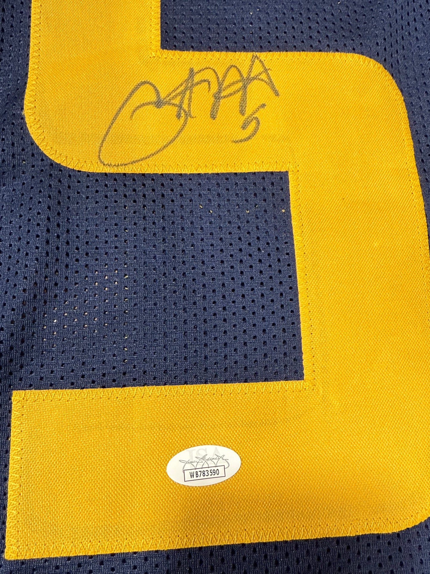 Pat White signed West Virginia WVU Mountaineers jersey JSA COA Blue