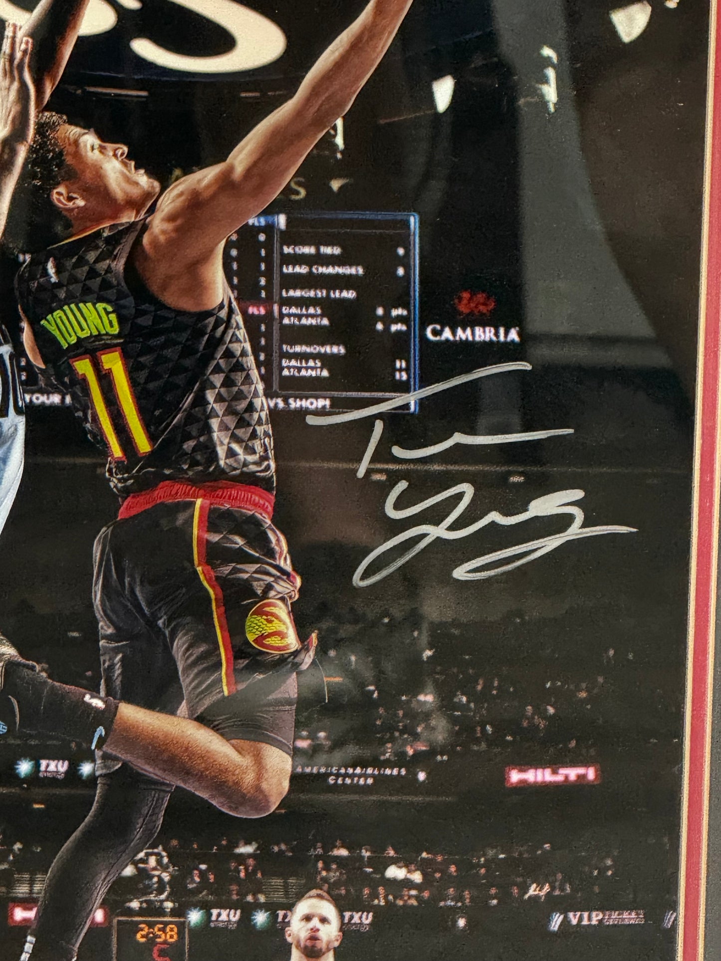 Trae Young Signed Framed Atlanta Hawks 16x20 Basketball Reverse Photo Panini /111