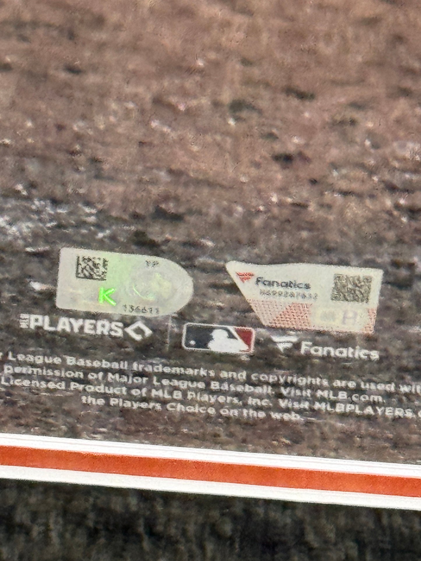 Adley Rutschman Signed Framed 16x20 Baltimore Orioles Photo Fanatics