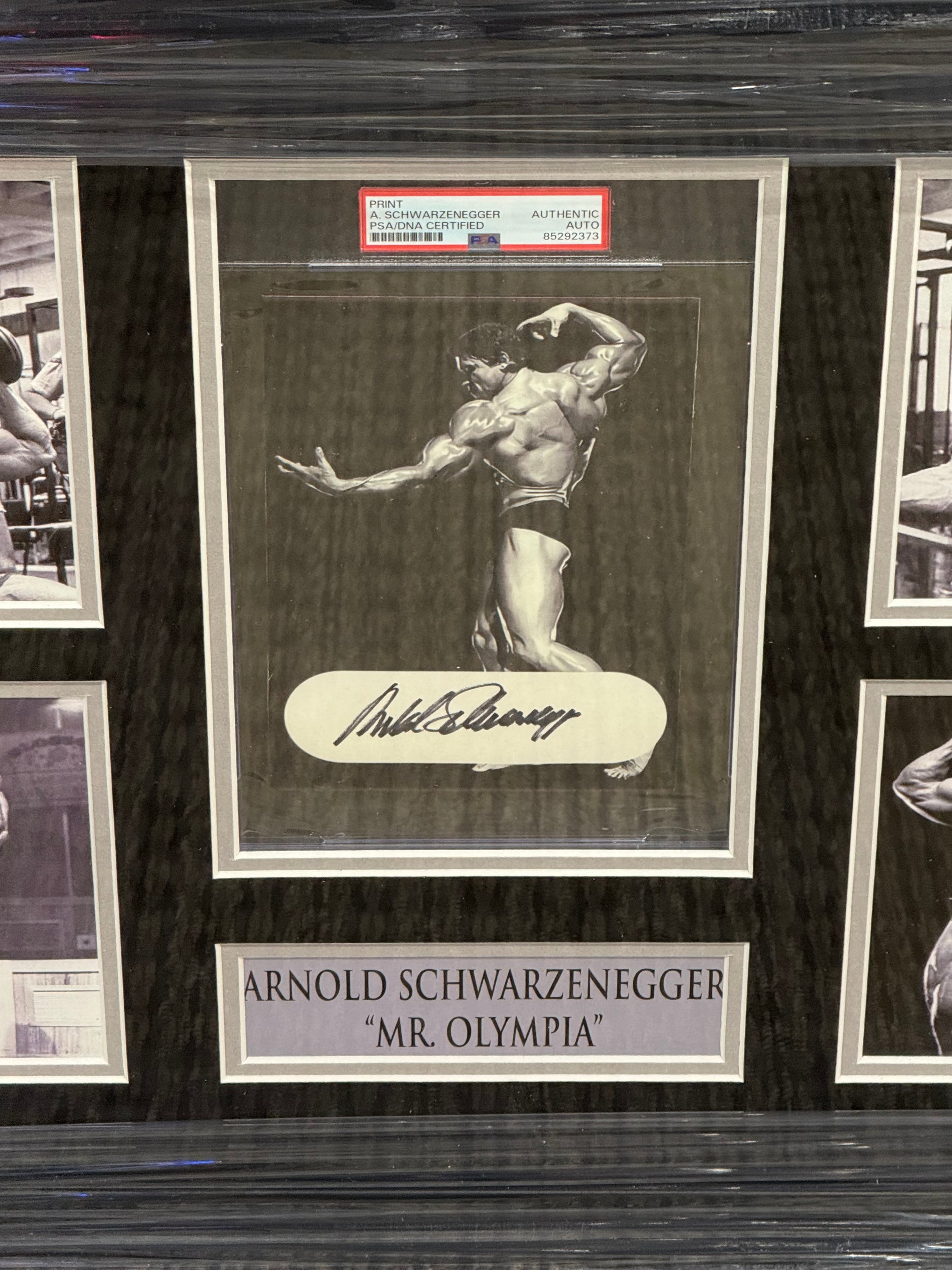 Arnold Schwarzenegger Signed Framed Mr Olympia Auto Psa Slabbed
