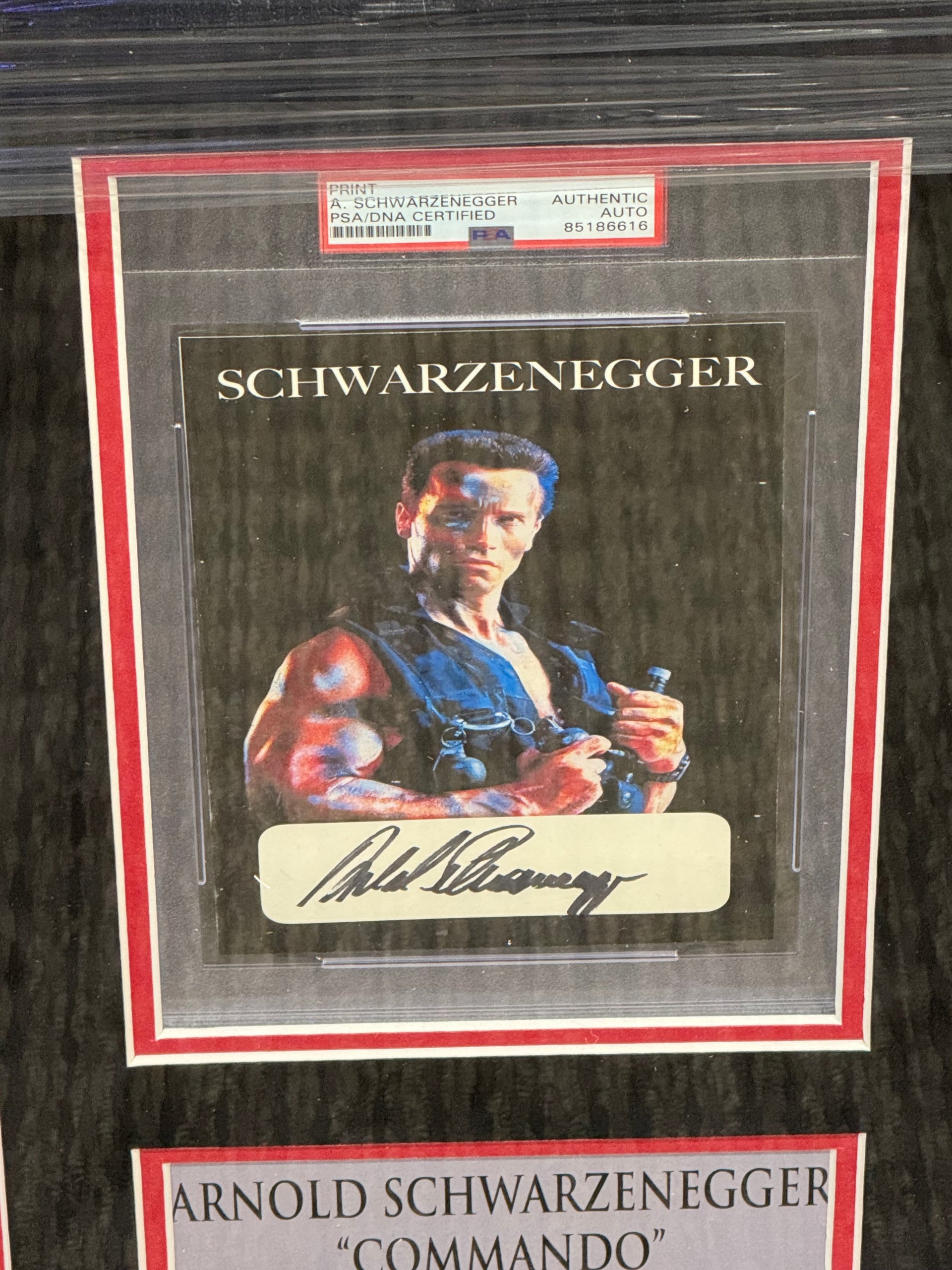 Arnold Schwarzenegger Signed Framed Commando Auto Psa Slabbed