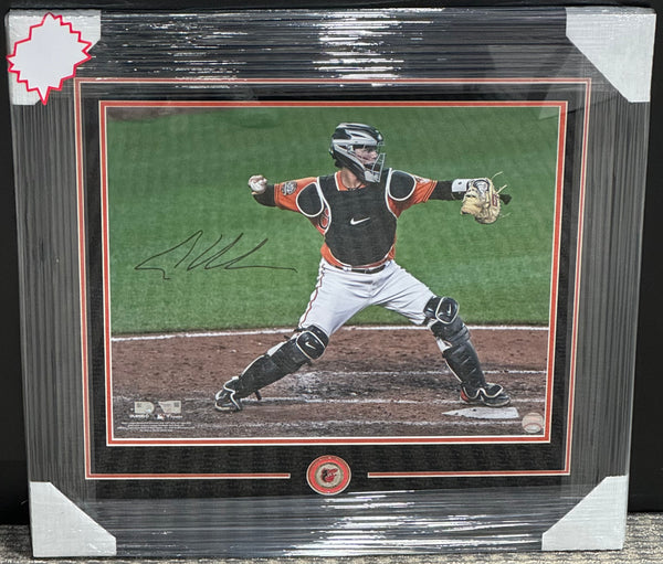 Adley Rutschman Signed Framed 16x20 Baltimore Orioles Photo Fanatics