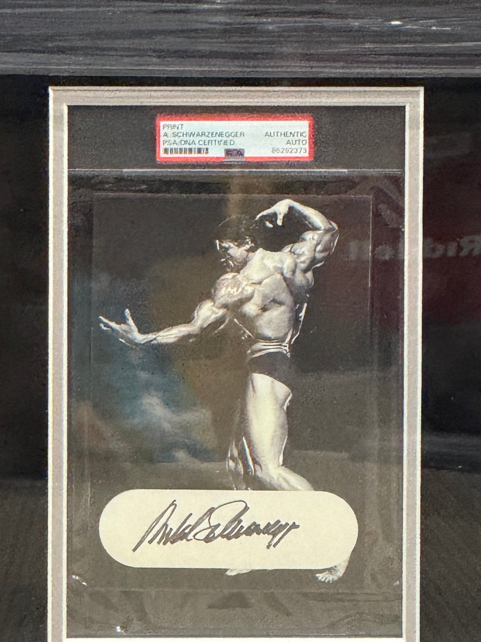 Arnold Schwarzenegger Signed Framed Mr Olympia Auto Psa Slabbed