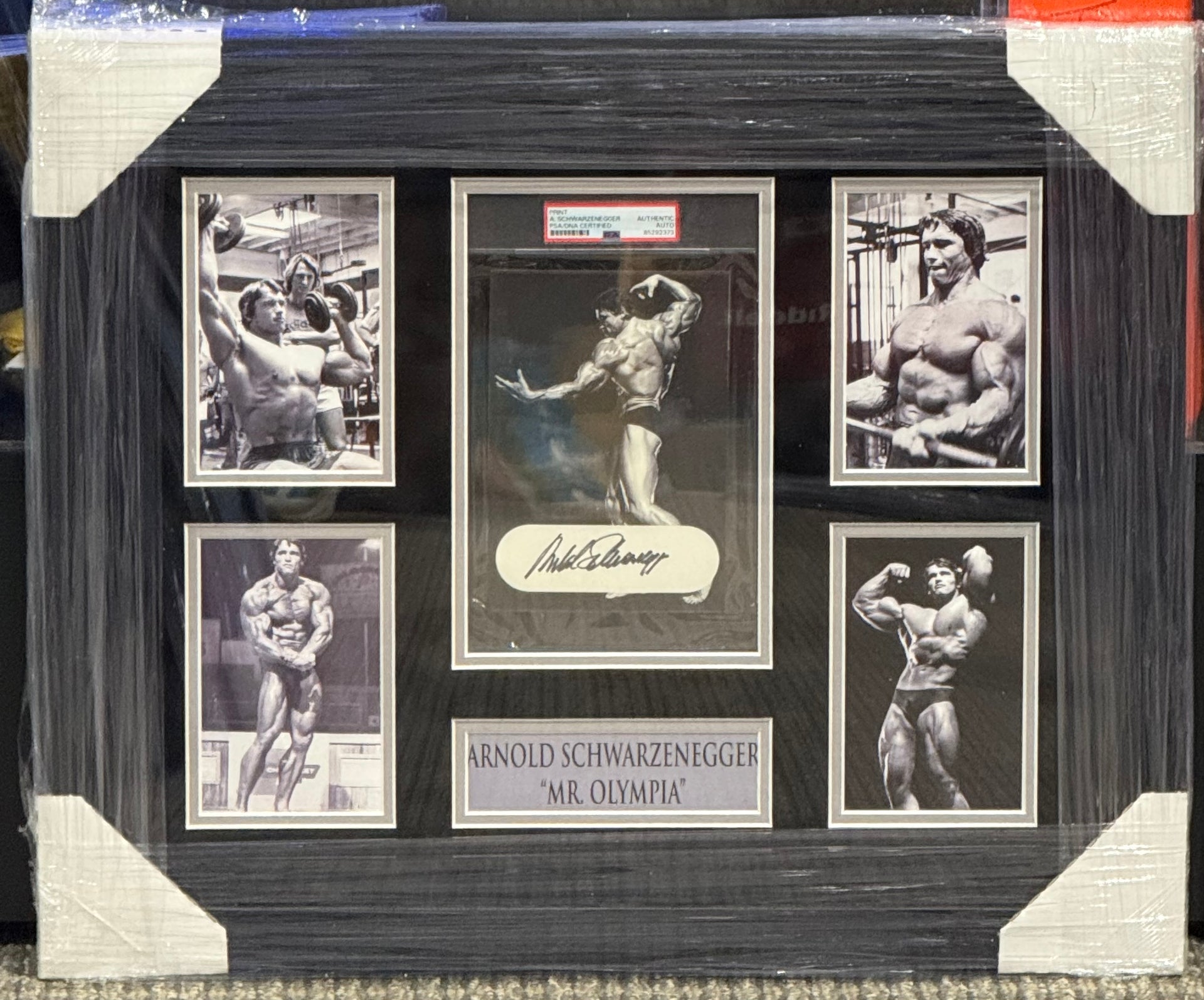 Arnold Schwarzenegger Signed Framed Mr Olympia Auto Psa Slabbed
