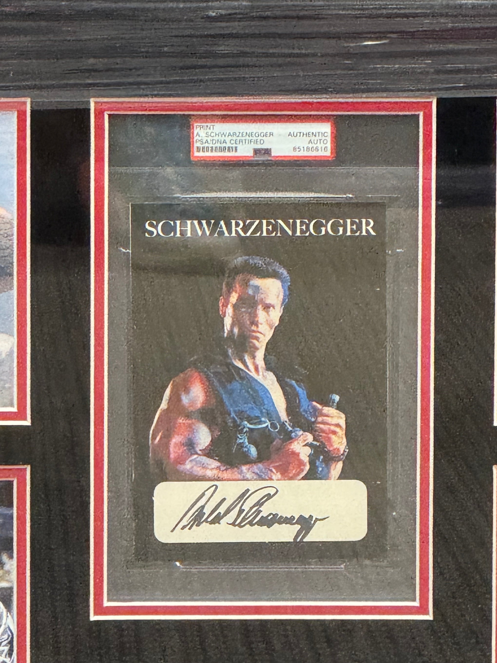 Arnold Schwarzenegger Signed Framed Commando Auto Psa Slabbed